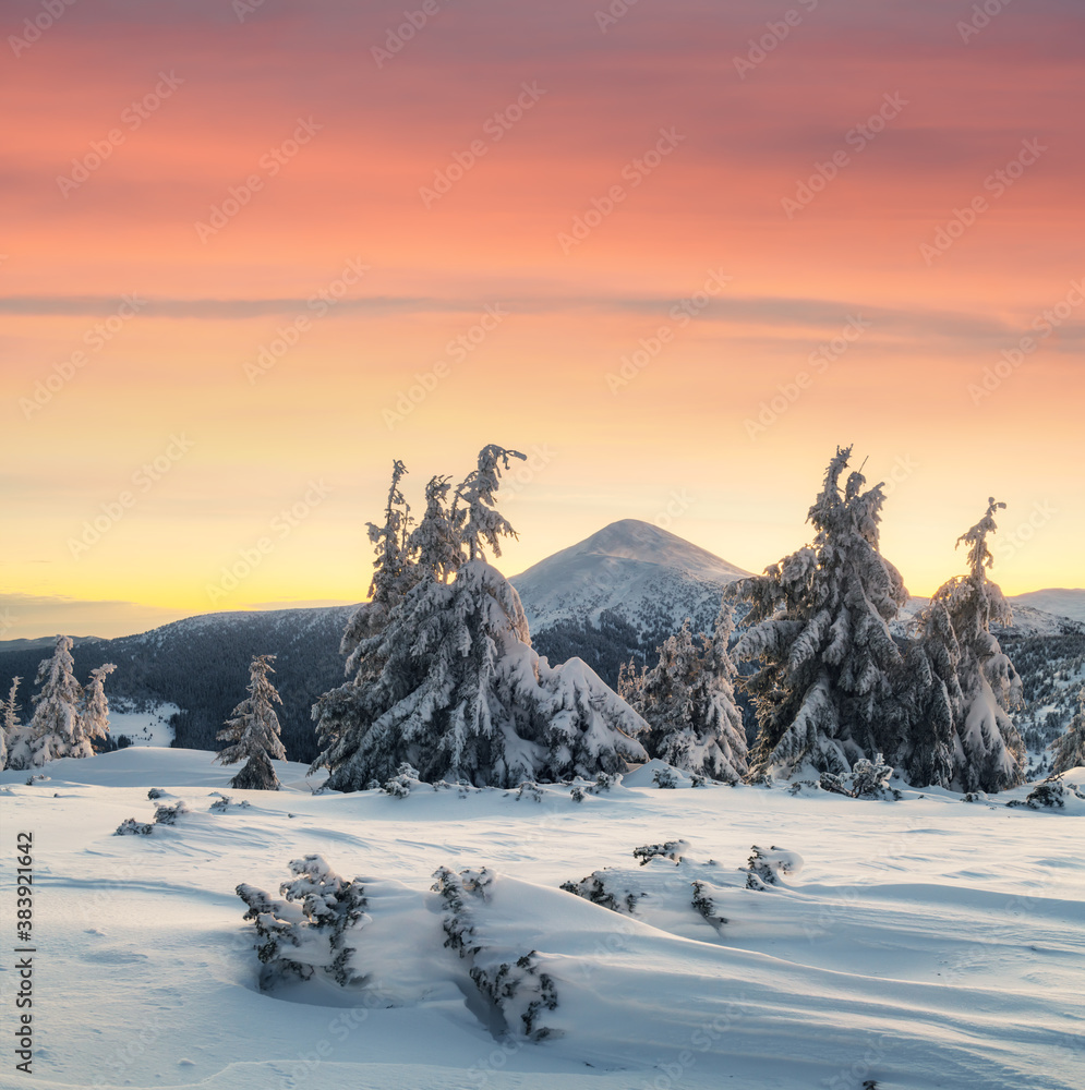 阳光照耀下的雪山中令人惊叹的橙色冬季景观。戏剧性的冬季场景
