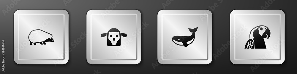 Set Hedgehog, Sheep head, Whale and Macaw parrot icon. Silver square button. Vector.