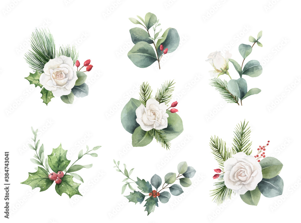 Watercolor vector Christmas bouquets with fir branches, flowers and eucalyptus.