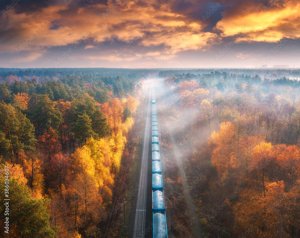 秋天日落时，雾中美丽森林中的货运列车鸟瞰图。铁路景观