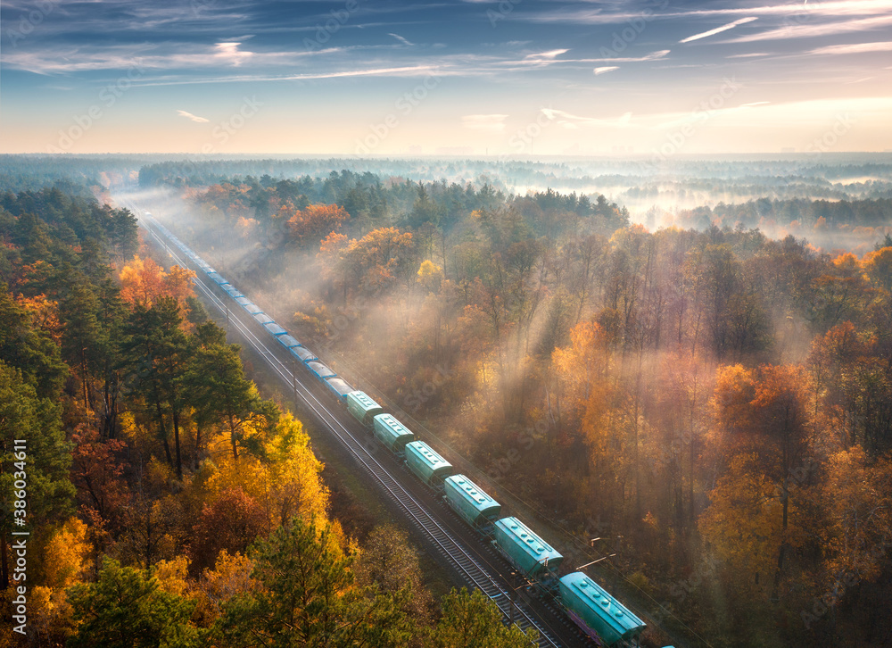 Aerial view of freight train in beautiful forest in fog at sunrise in autumn. Colorful landscape wit