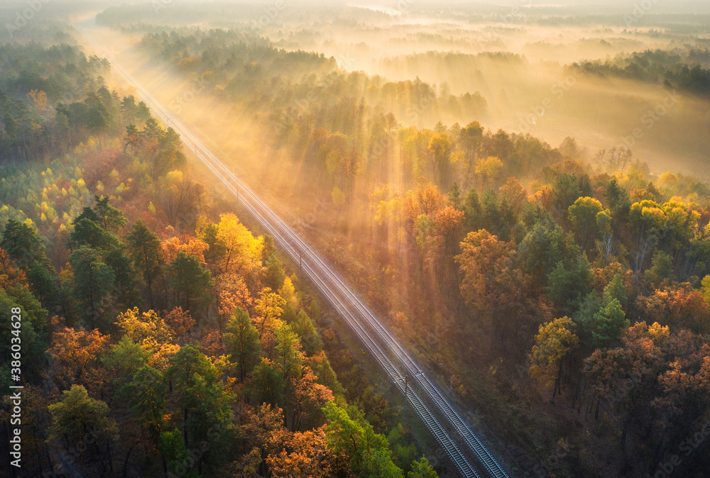 Aerial view of beautiful railroad in autumn forest in foggy sunrise. Industrial landscape with railw