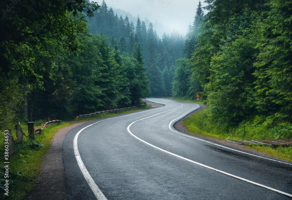 Road in foggy forest in rainy day in spring. Beautiful mountain curved roadway, trees with green fol