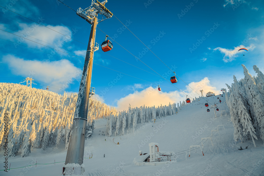Ski slopes with cable cars and snowy pine trees, Romania