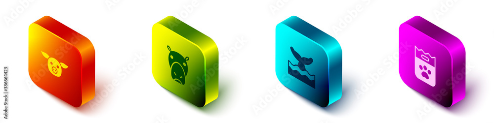 Set Isometric Pig, Hippo or Hippopotamus, Whale tail in ocean wave and Bag of food icon. Vector.