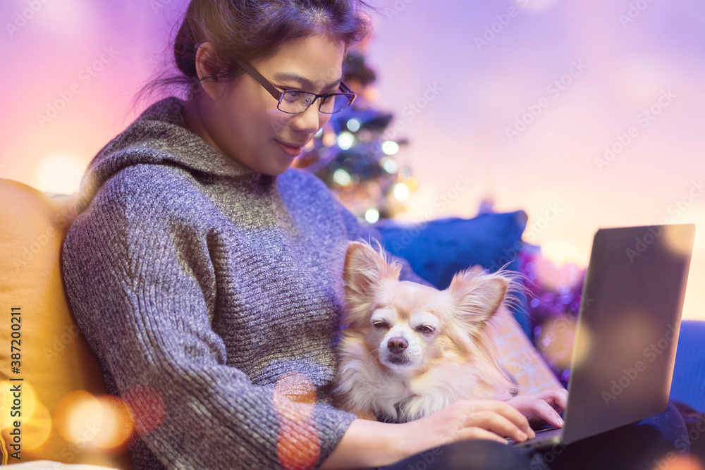 asian female wearing winter sweater cloth working with laptop on sofa video conference call while pl