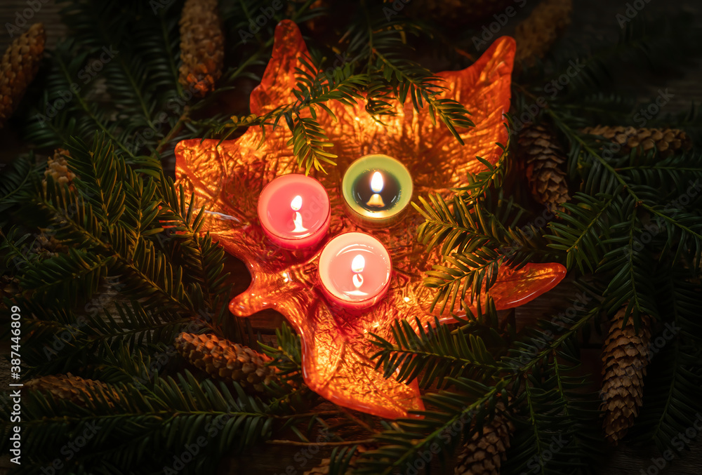 圣诞装饰，深色背景上有燃烧的蜡烛，树枝上有针。特写