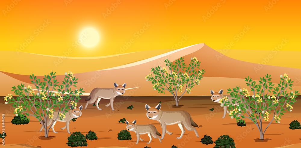 Wild desert landscape at daytime scene