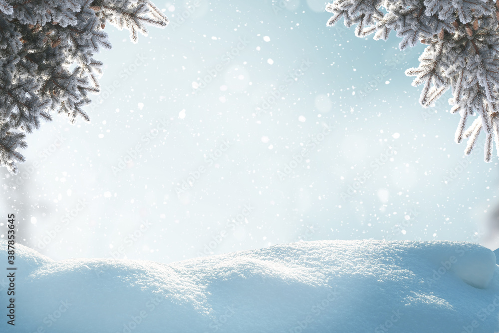 Winter  background .Merry Christmas and happy New Year greeting card with copy-space. Christmas land
