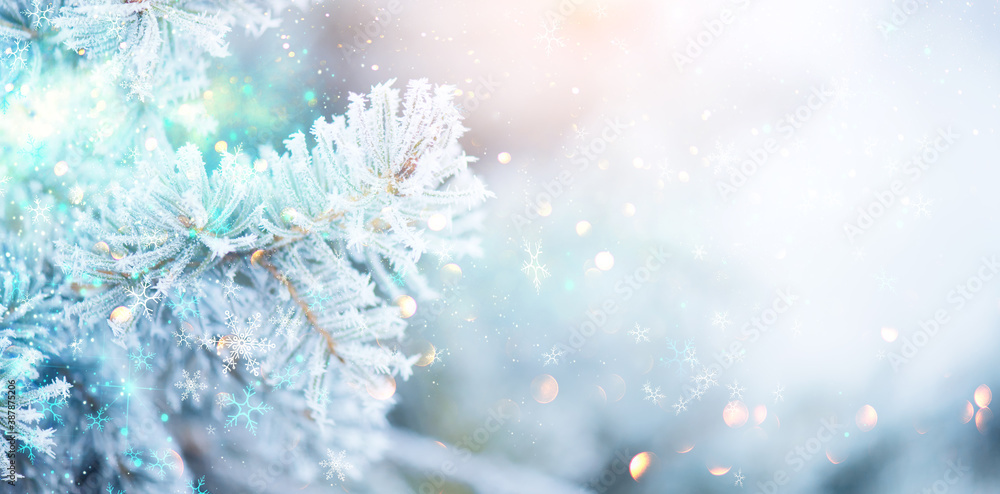 Christmas winter blurred background. Xmas tree with snow, holiday background. New year Winter art de