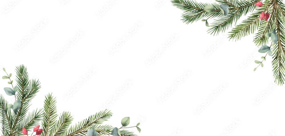 Watercolor vector Christmas card with fir branches and eucalyptus leaves.