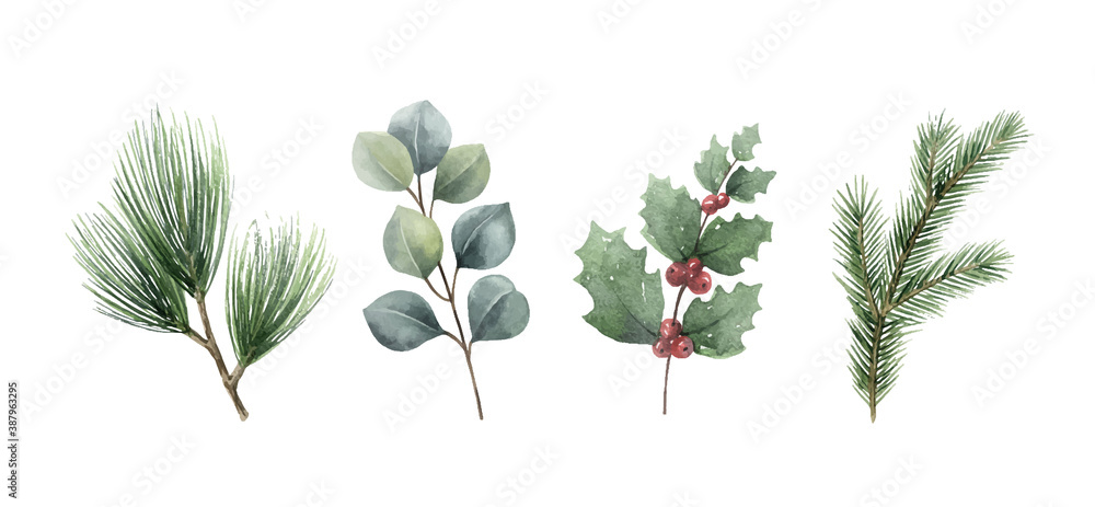 Watercolor vector Christmas set with fir branches and eucalyptus.