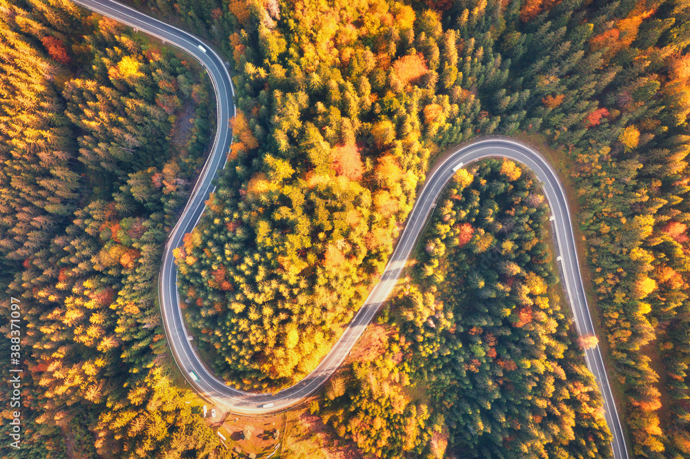 Aerial view of mountain road in beautiful forest at sunset in autumn. Top view from drone of winding