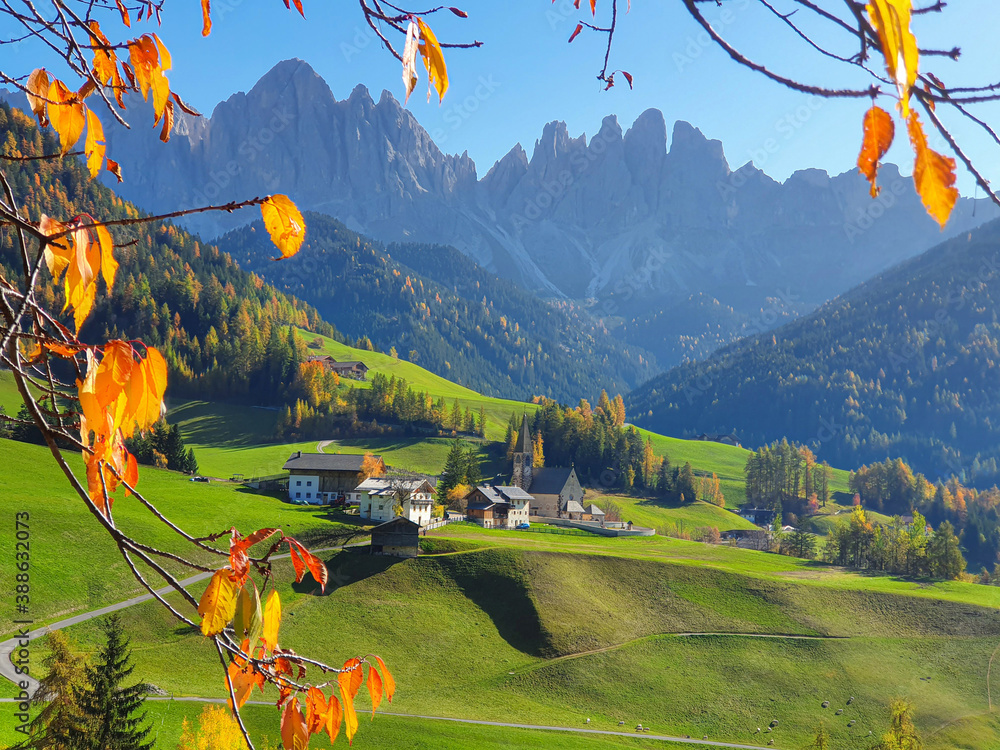 CLOSE UP: Autumn colored branch stretches over a remote village in the Dolomites