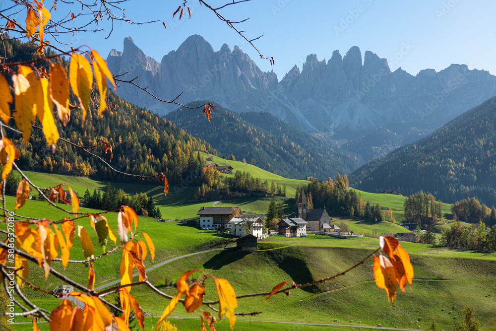 CLOSE UP: Forest surrounding a remote village in the Dolomites changing colors.