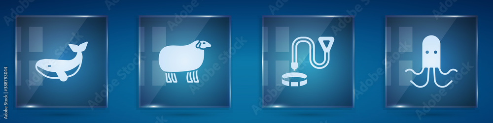 Set Whale, Sheep, Collar with name tag and Octopus. Square glass panels. Vector.