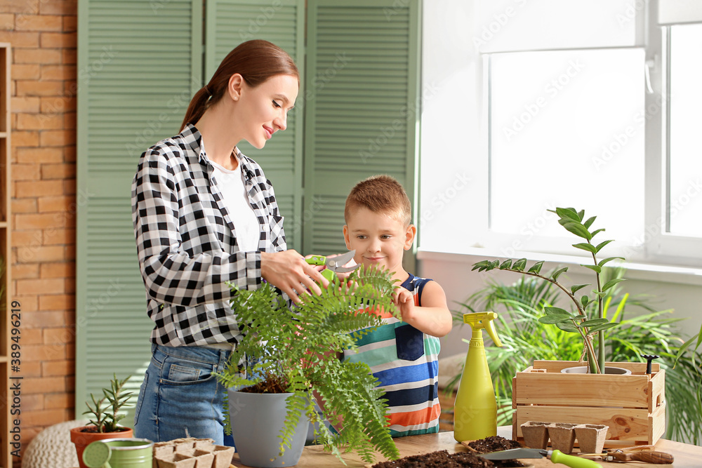 年轻的母亲带着儿子在家里摆放植物
