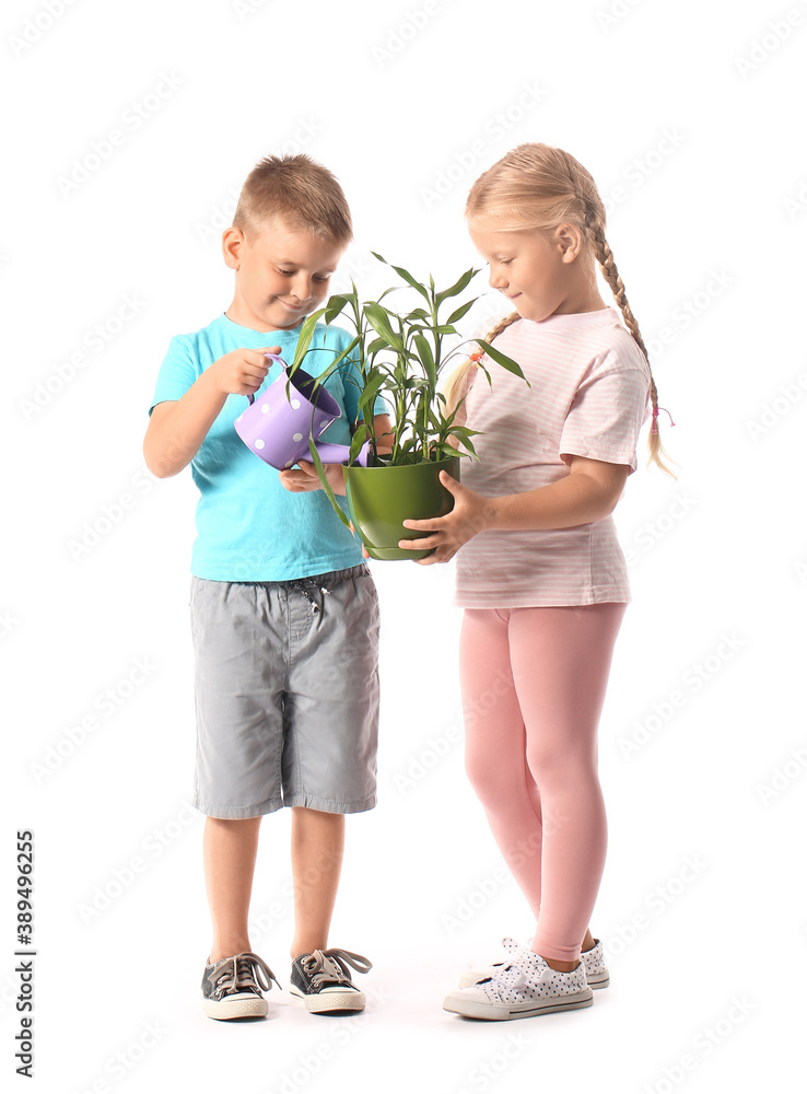 Cute little children with houseplant and watering can on white background