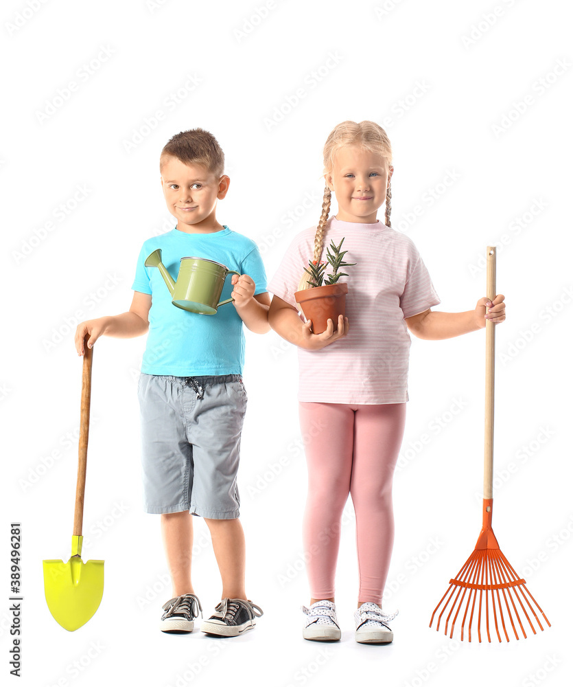 Cute little children with gardening supplies and houseplant on white background