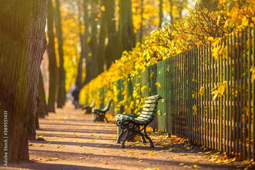 Beautiful alley in the autumn Park. Green benches near the fence and colorful yellow foliage on the 