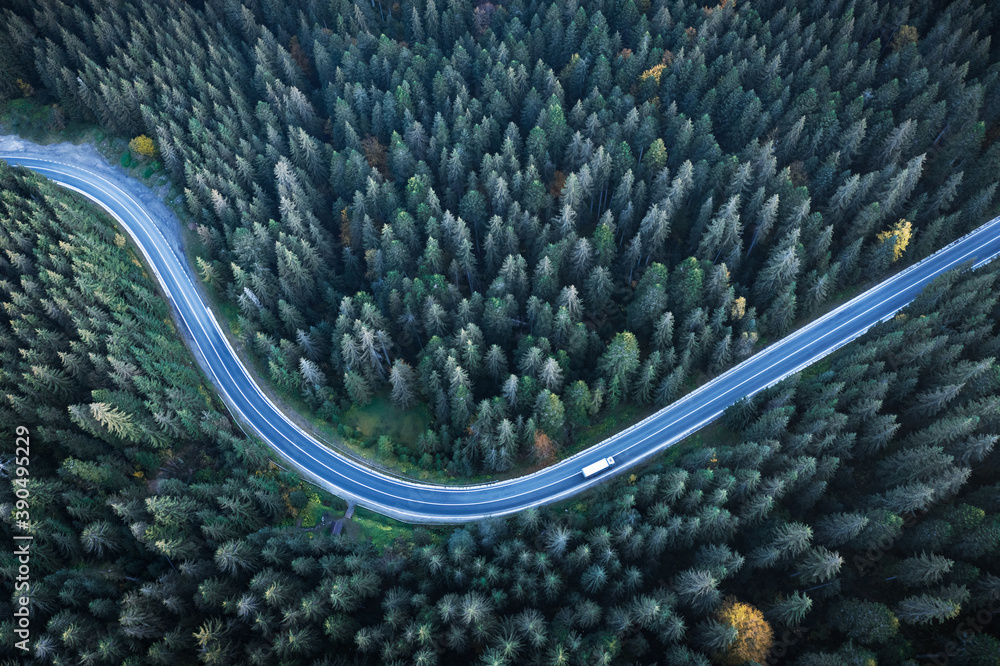 飞越蜿蜒曲折的道路和松林的秋山。俯视图。景观照片