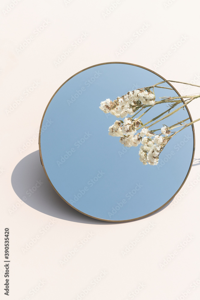 圆镜上的干白色静止花