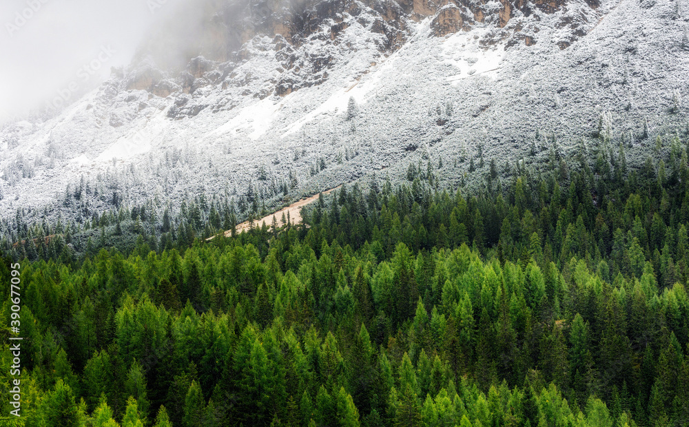 意大利白云岩阿尔卑斯山的森林。秋天和冬天之间的森林和山脉。美丽的自然风光