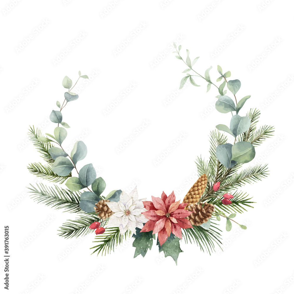 水彩矢量圣诞花环，带有冷杉树枝、一品红和桉树。