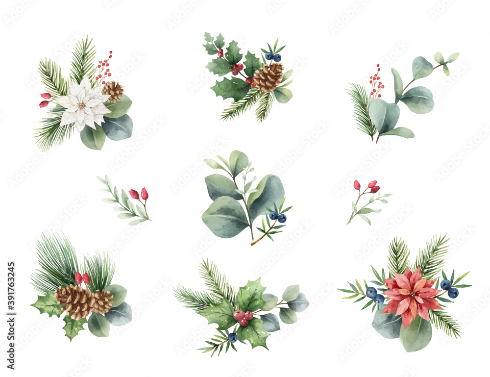 Watercolor vector Christmas set of bouquets.