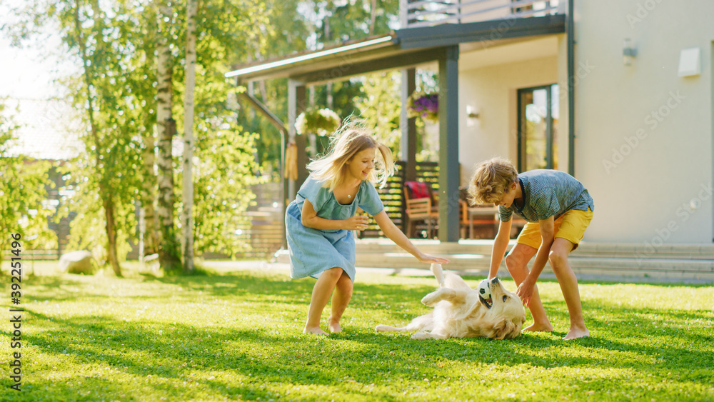 两个孩子在后院草坪上和他们英俊的金毛寻回犬玩得很开心。他们宠物，玩耍，摔跤