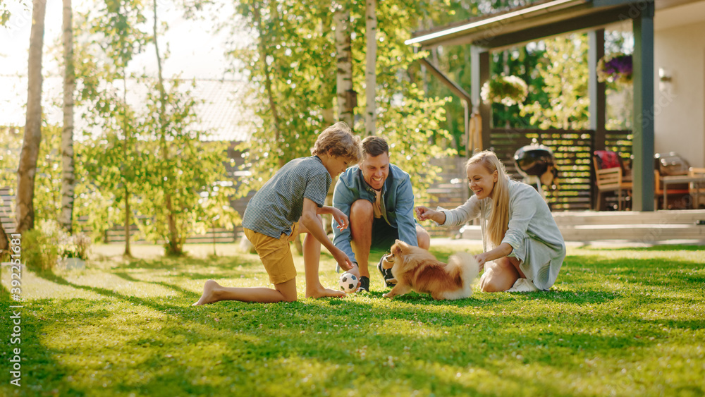 一家四口在后院与可爱的小波美拉尼亚犬嬉戏玩耍。父亲、母亲、S