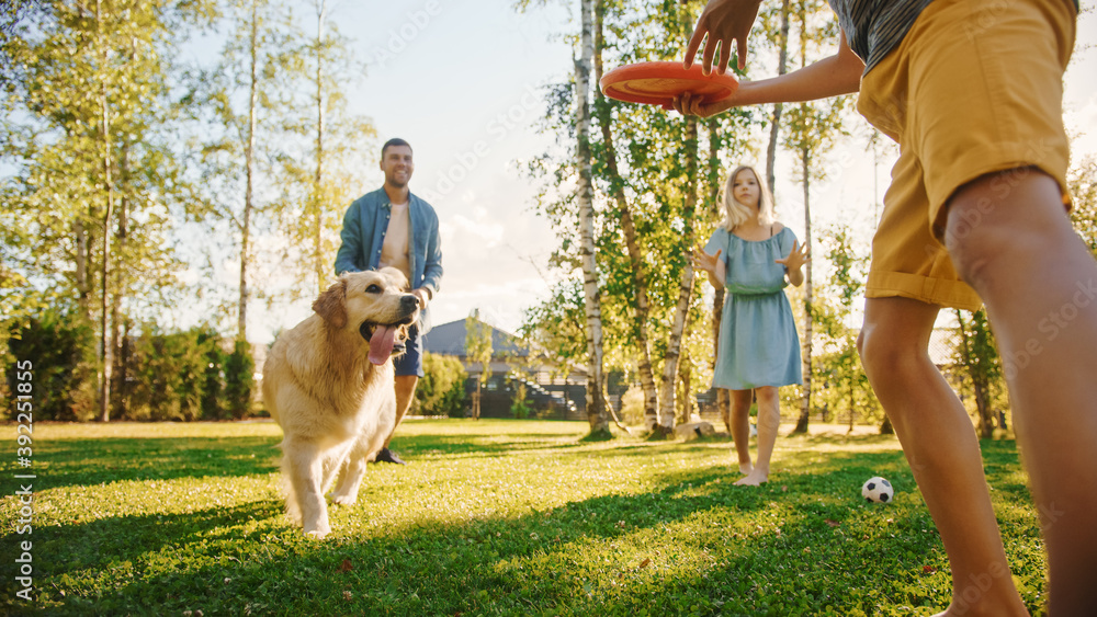 微笑美丽的四口之家与快乐的金毛寻回犬在后院草坪踢足球。我