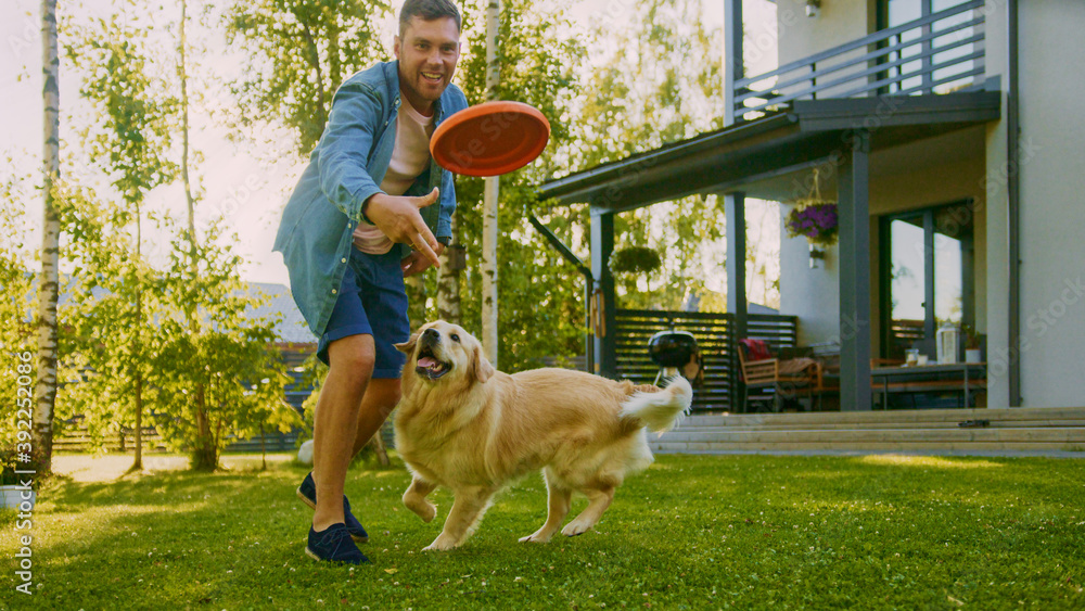英俊男子在后院草坪上与快乐金毛寻回犬一起玩接球飞盘。男子有F