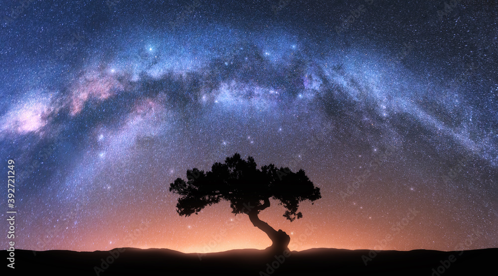 夜晚孤独的树和银河系拱门。有老树的风景，明亮的拱形银河，天空有s
