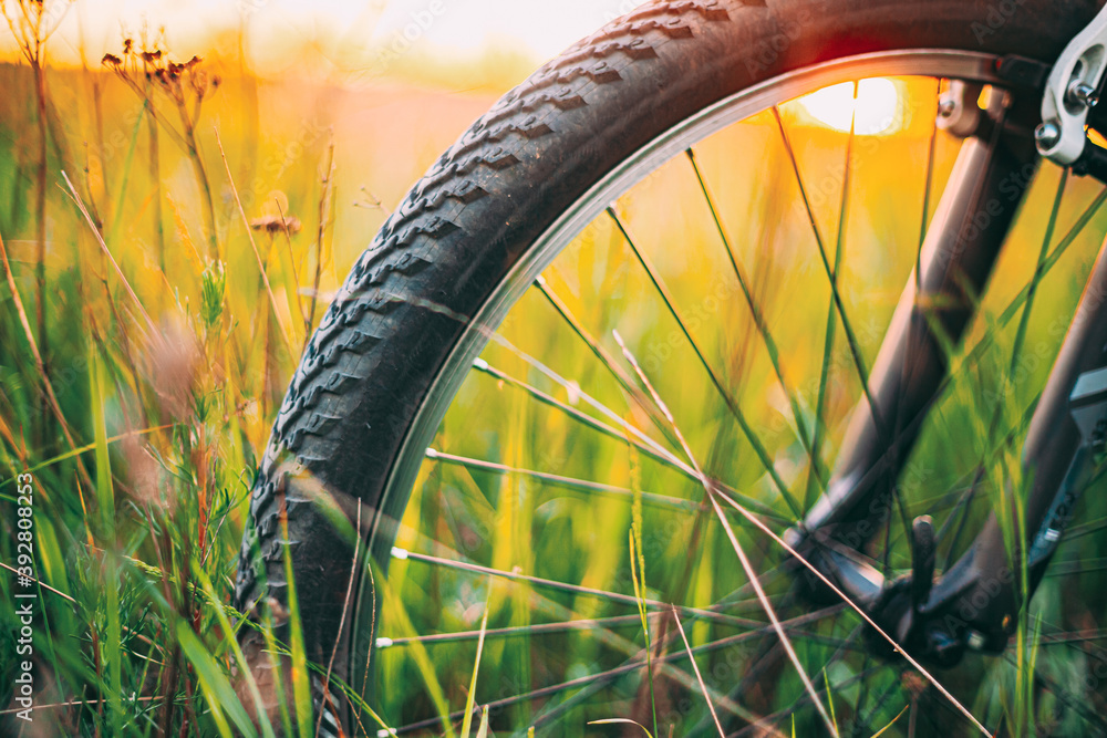 夏季绿草草地上的自行车车轮