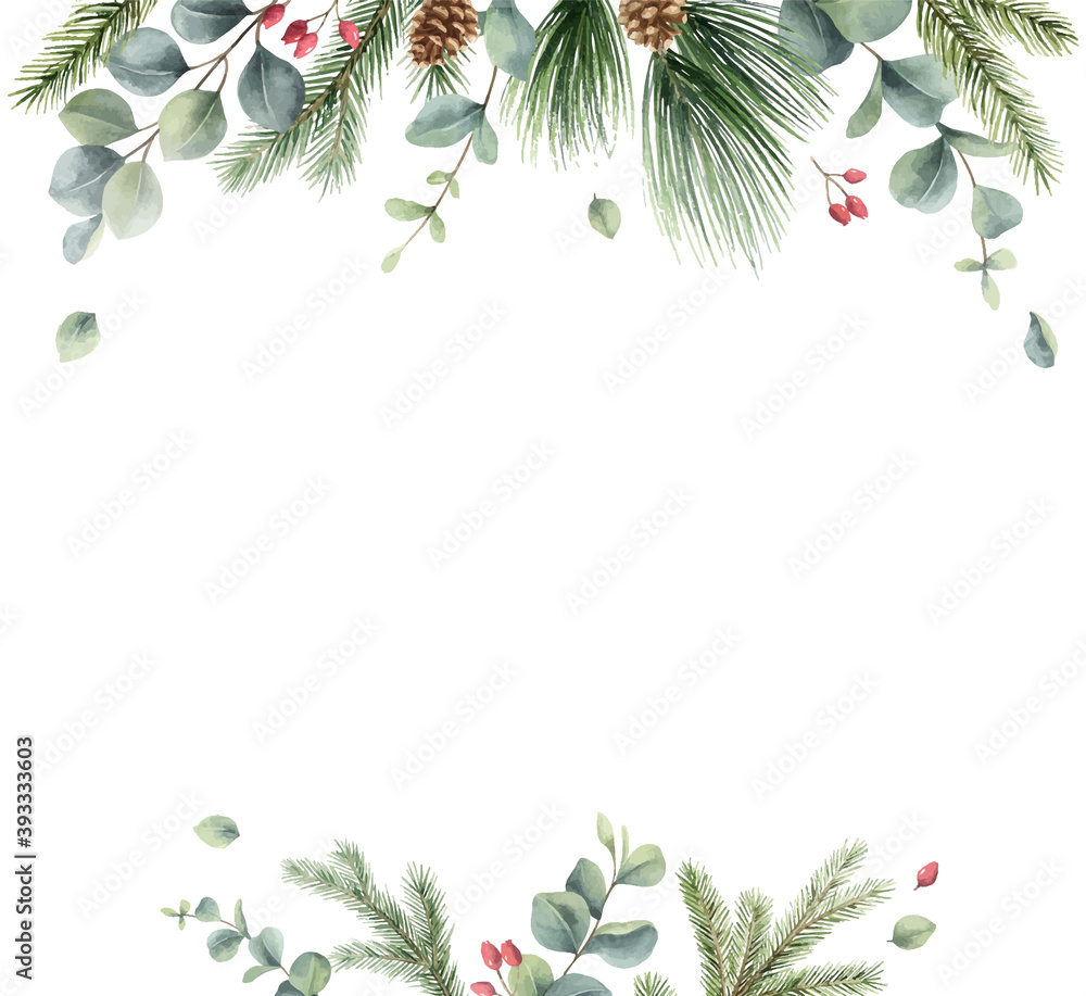 水彩矢量圣诞卡，上面有冷杉树枝和桉树。