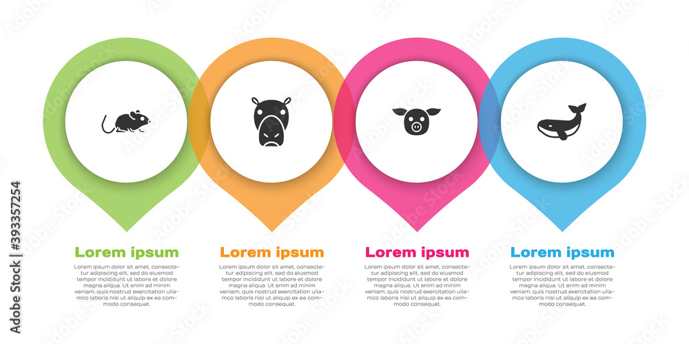 Set Rat, Hippo or Hippopotamus, Pig and Whale. Business infographic template. Vector.