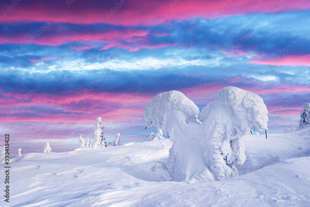 Fantastic winter landscape with snowy trees and sunrise pink sky. Lapland, Finland, Europe. Christma