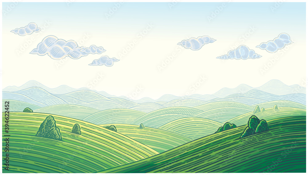 Summer landscape with hills and mountain, vector illustration.