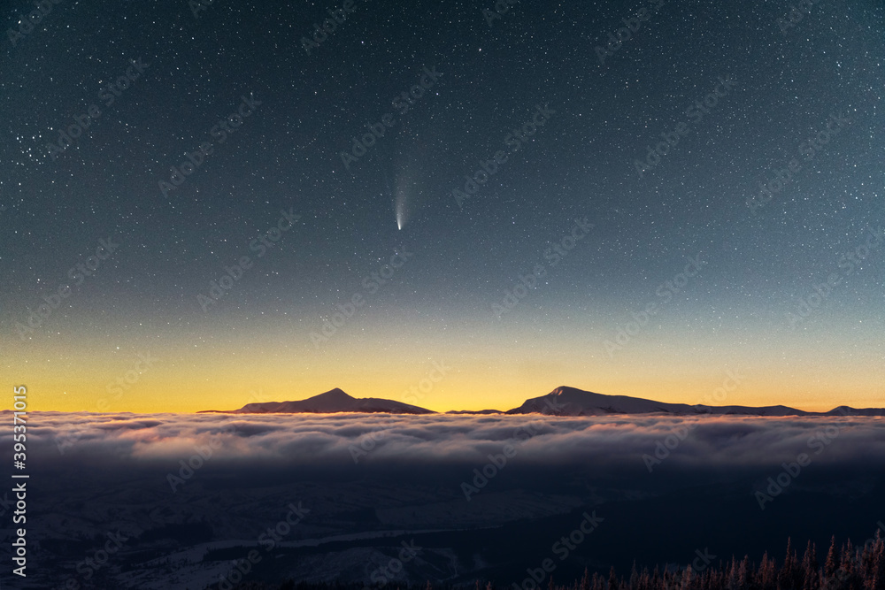 星光照耀下的奇妙冬季景观。白雪皑皑的树木和彗星i的戏剧性冬季场景