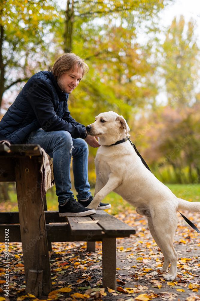 拉布拉多用爪子站在长椅上，靠近雄性主人。一个英俊的男人带着一只猎犬。