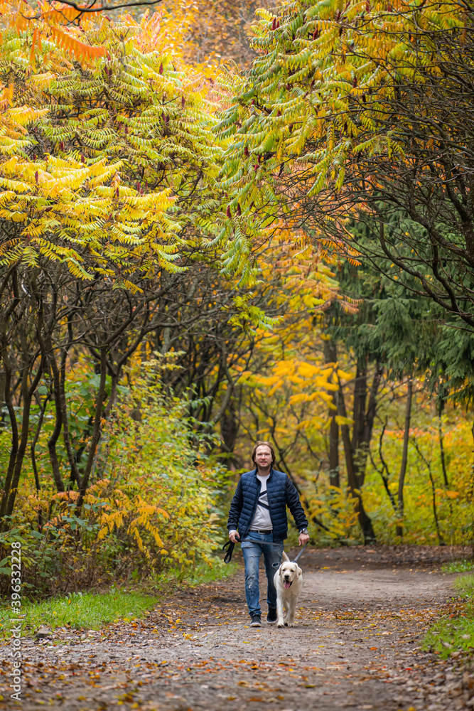 拉布拉多寻回犬和一名男子在公园里玩耍。金秋背景。