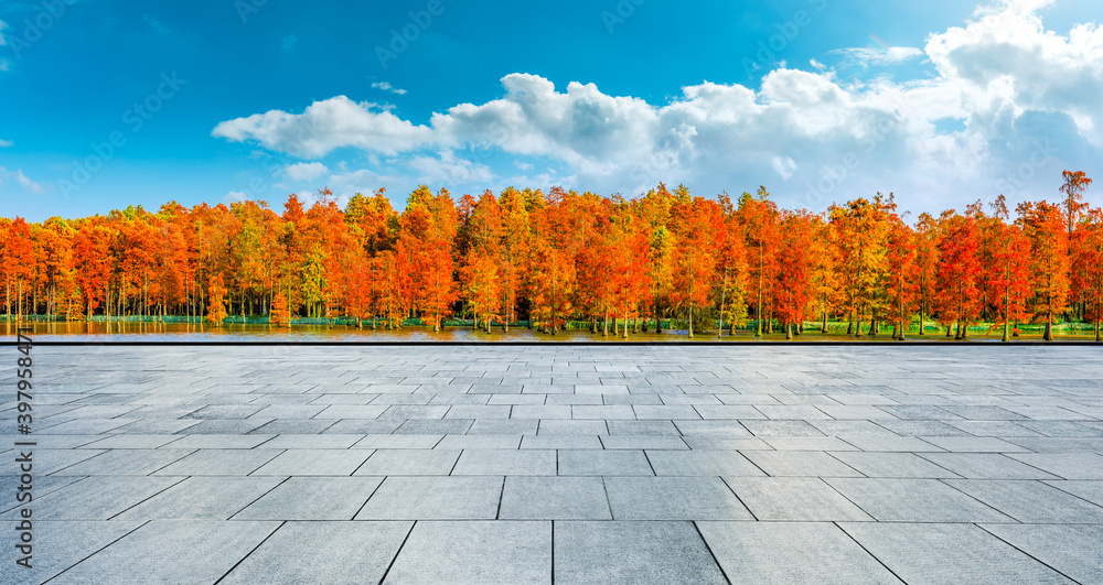 秋天空旷的广场和色彩斑斓的森林自然景观。