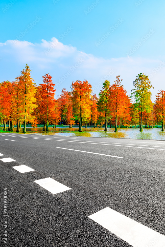 秋天的沥青路和多彩的森林自然景观。
