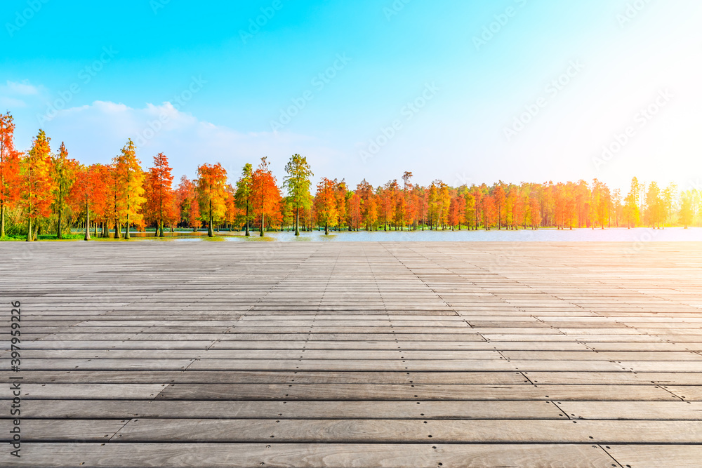 秋天的木质广场和色彩斑斓的森林自然景观。