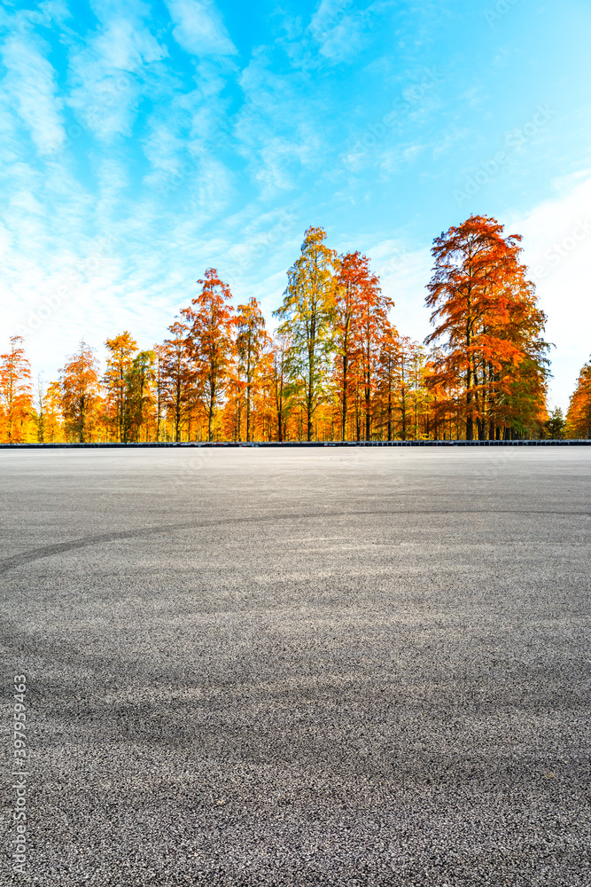 秋天空旷的柏油路和五彩缤纷的森林自然景观。