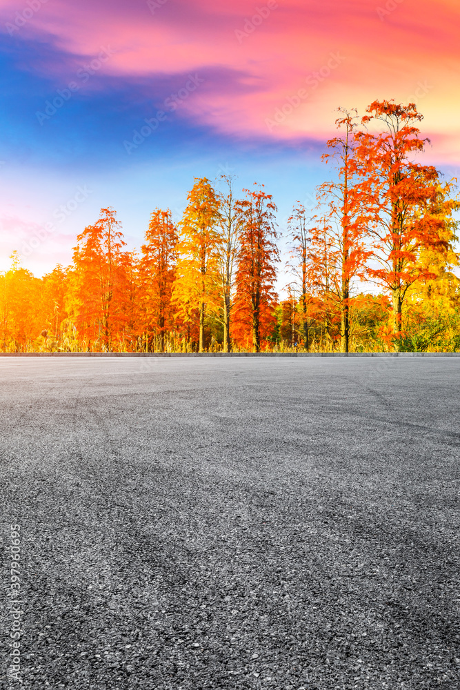 秋天空旷的柏油路和色彩斑斓的森林自然景观。