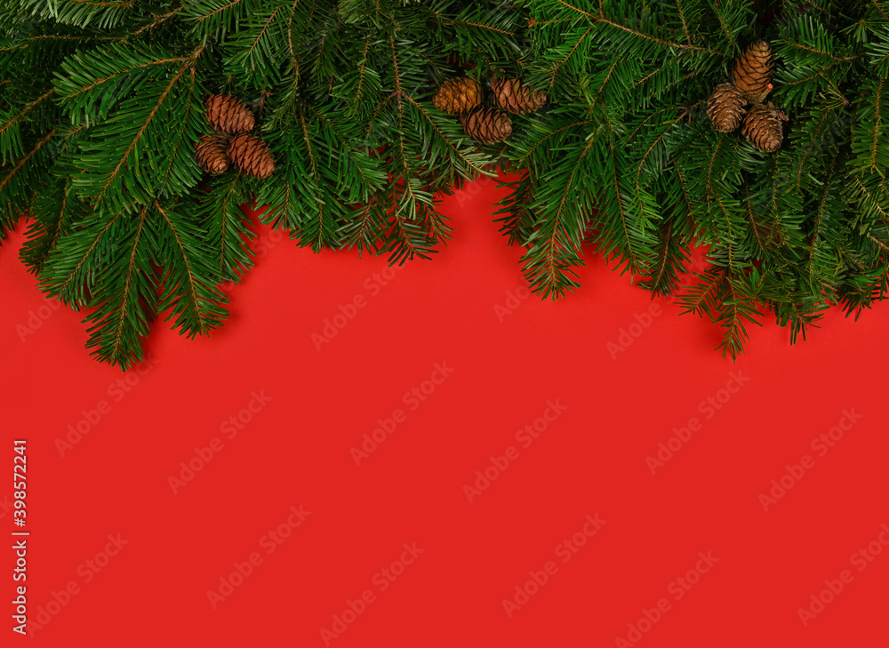 在红色上方关闭新鲜的圣诞树枝