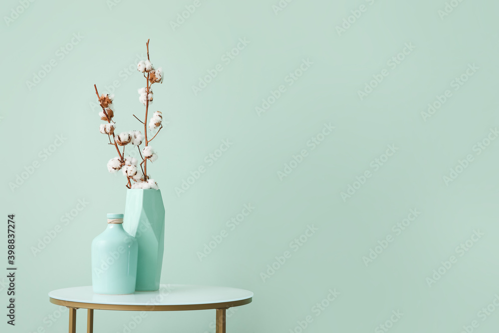 房间内彩色墙壁附近的时尚桌子上有棉花花的花瓶