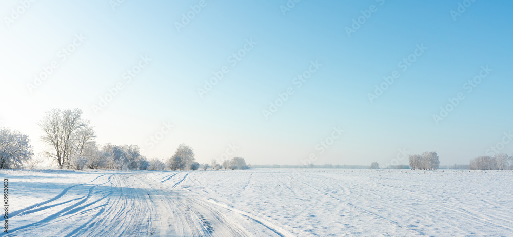 白雪覆盖的冬季田野，树木和道路通到地平线。冬季景观。博蒂